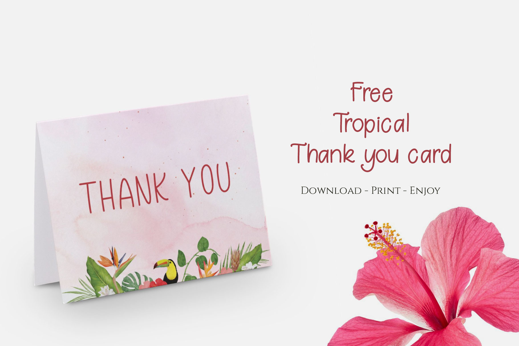 Tropical Thankyou Card Featured