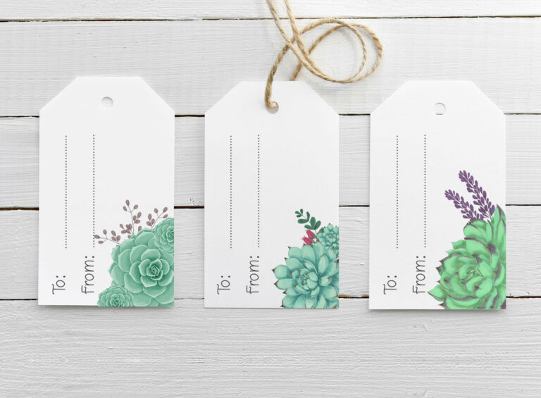 Gift Tags With Succulents Illustrations