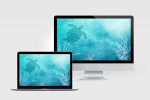 Underwater Desktop Wallpaper