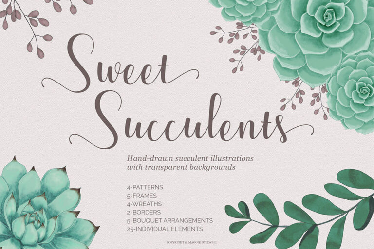 Sweet Succulents Design Set