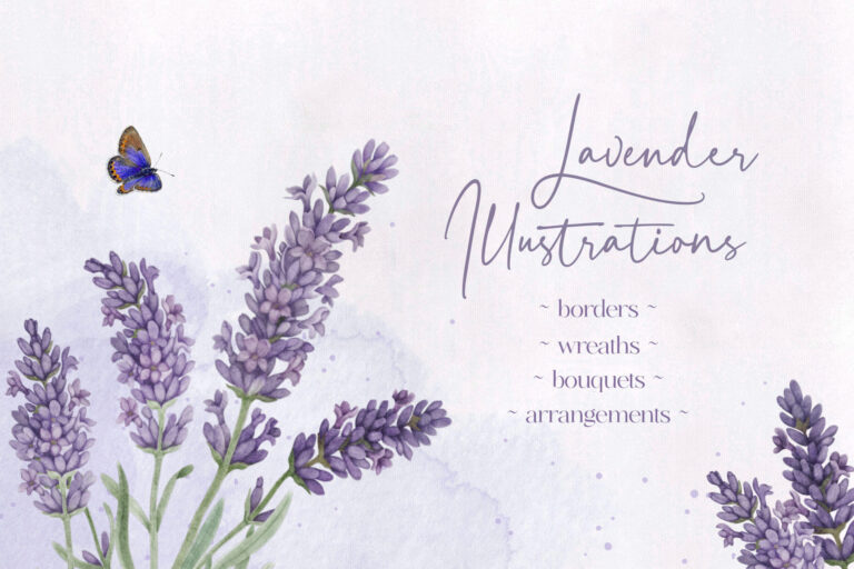 lavender illustrations 1
