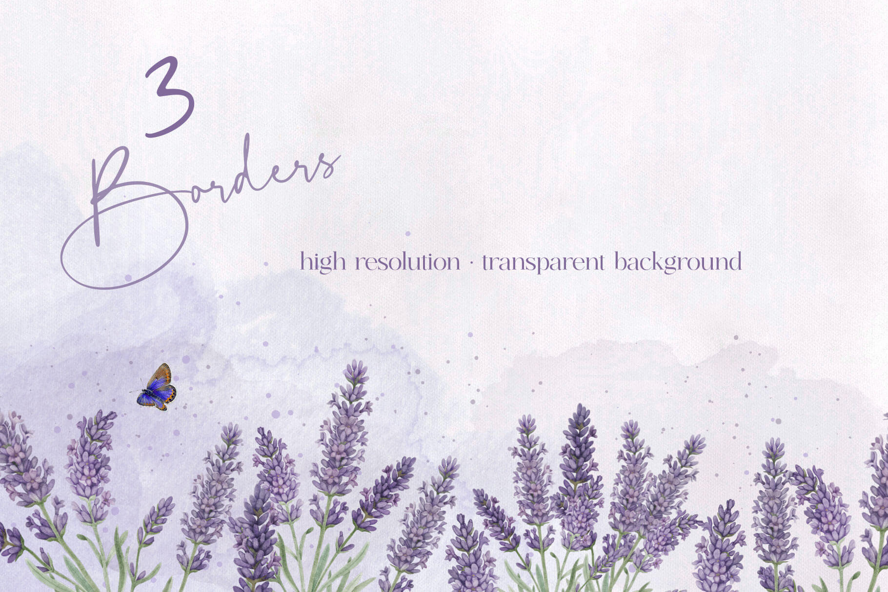 Lavender Illustrations lavender illustrations 2
